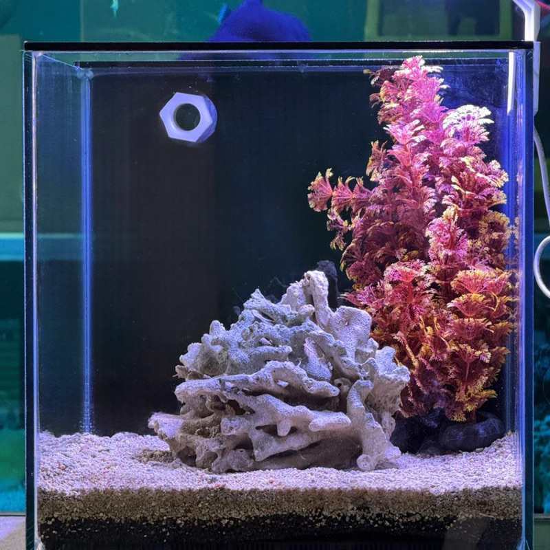 (khusus instan+garansi)aquarium sump filter belakang air tawar atau laut full set