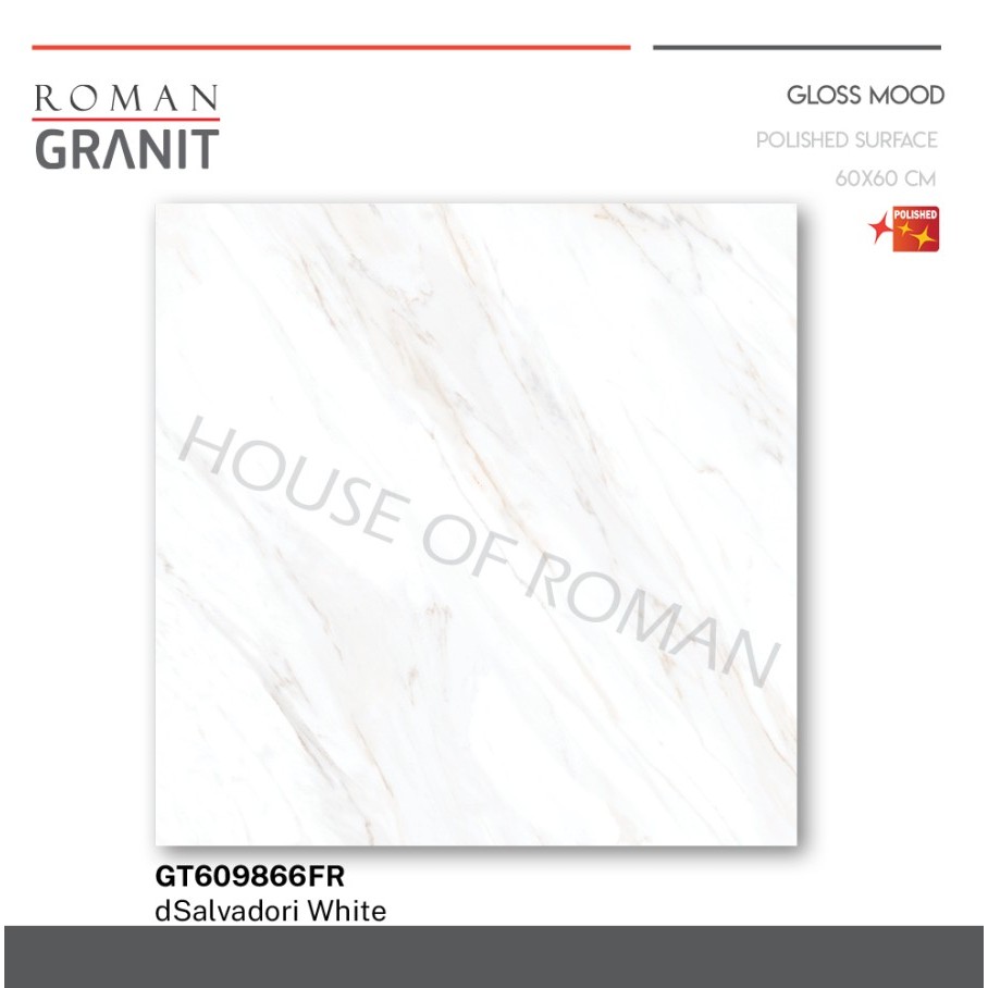 ROMAN GRANIT dSalvadori White 60x60 GT609866FR ROMAN GRANIT
