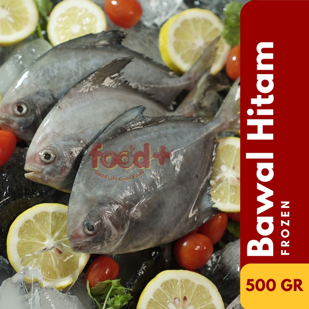 

Ikan Bawal Hitam Beku Frozen [500 Gram]