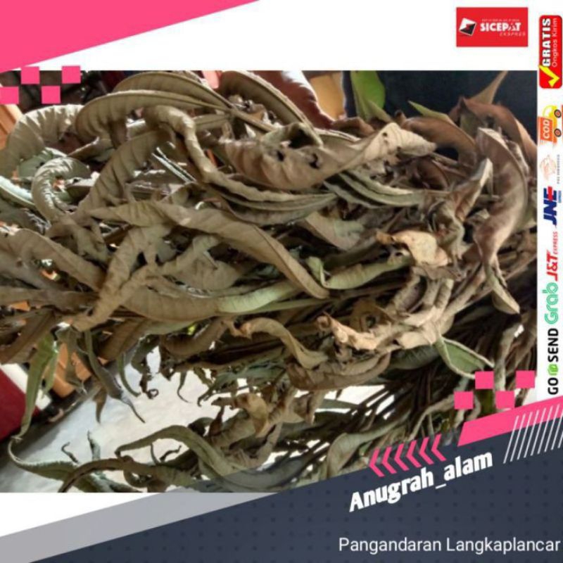 

DAUN SUNGKAI KERING ( JATI WALANA) - 100gr