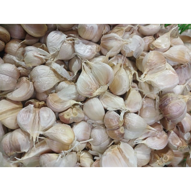 

bawang putih kating