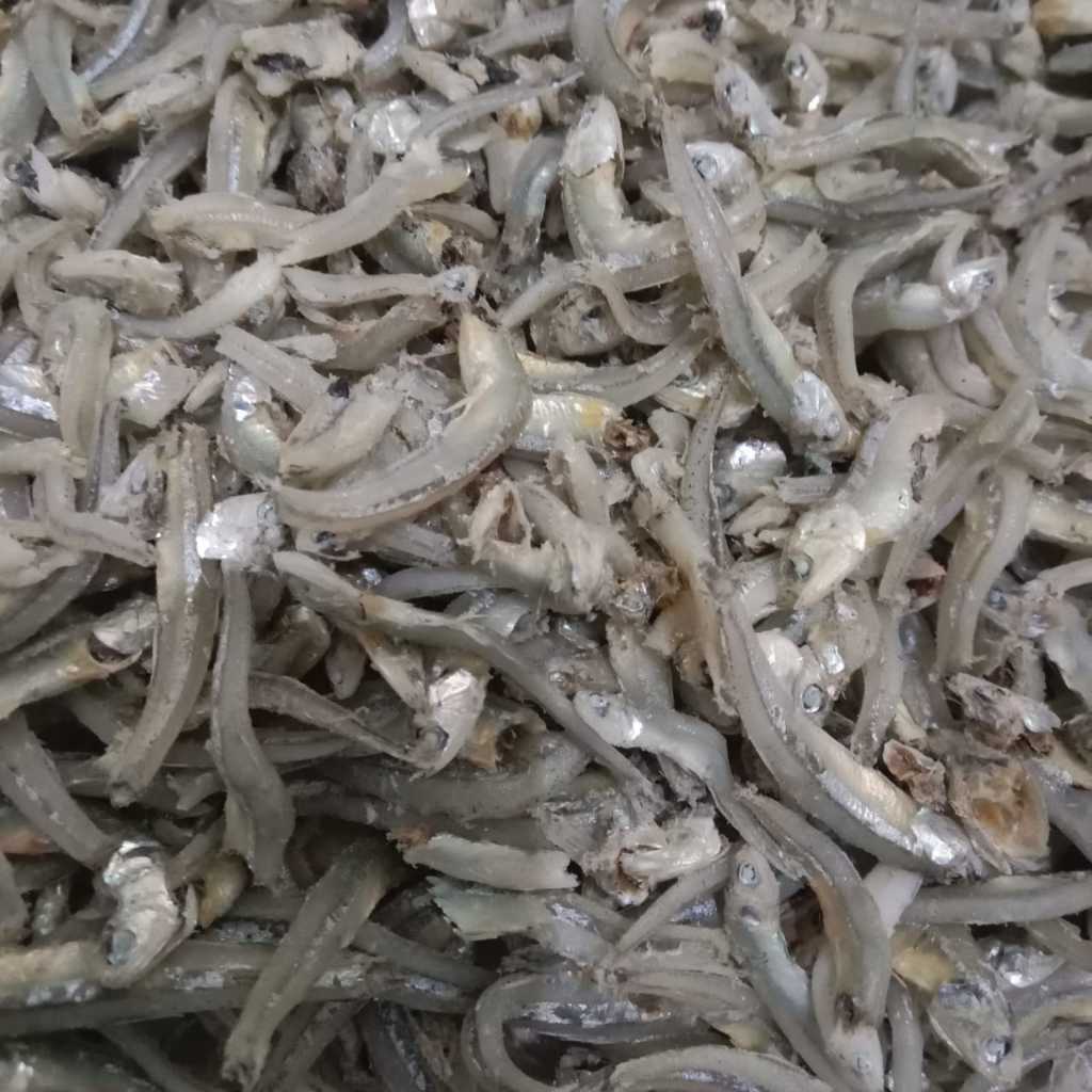 

Ikan teri buntio premium 500gram
