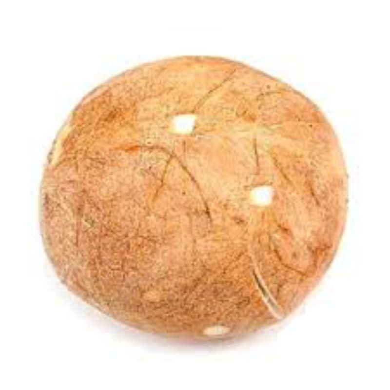 

kelapa utuh kupas 1c