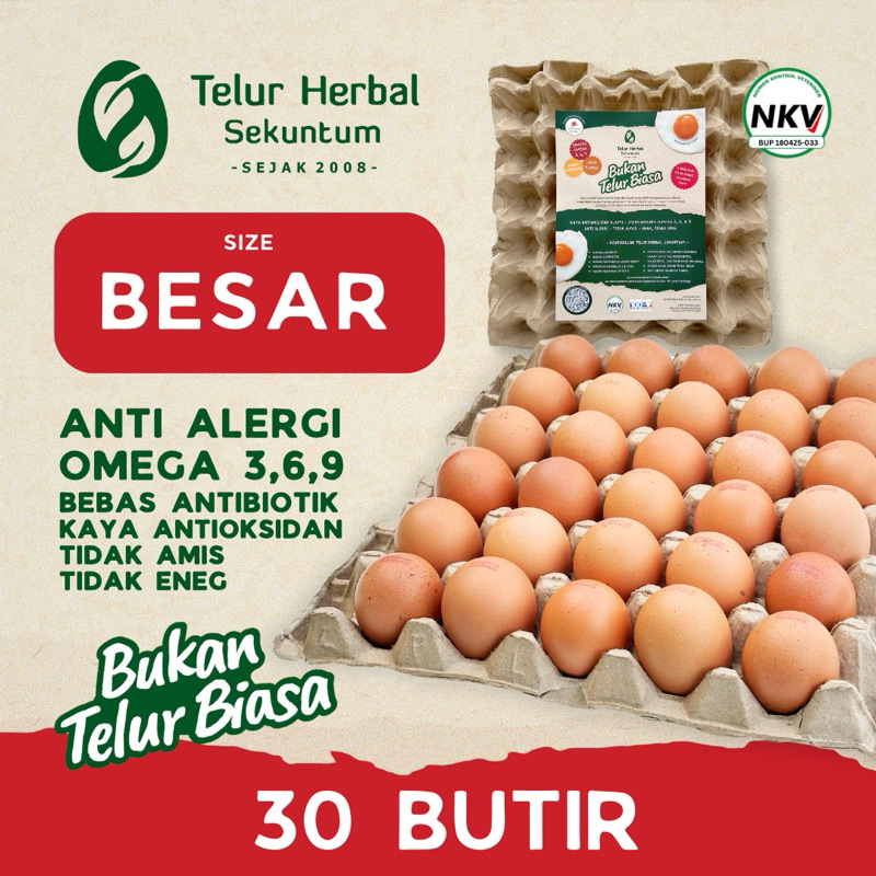 

Telur Herbal Sekuntum (30 butir) BESAR & KECIL - Telor Ayam Anti Alergi Omega 3 6 9 Bebas Antibiotik