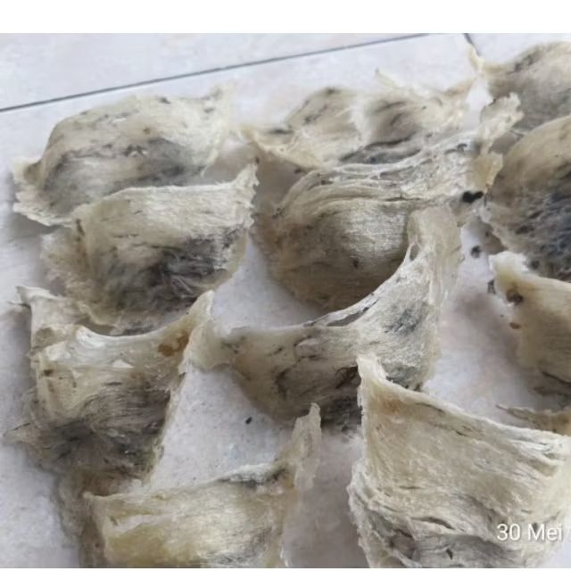 

sarang walet mangkok kotor 20gram murah