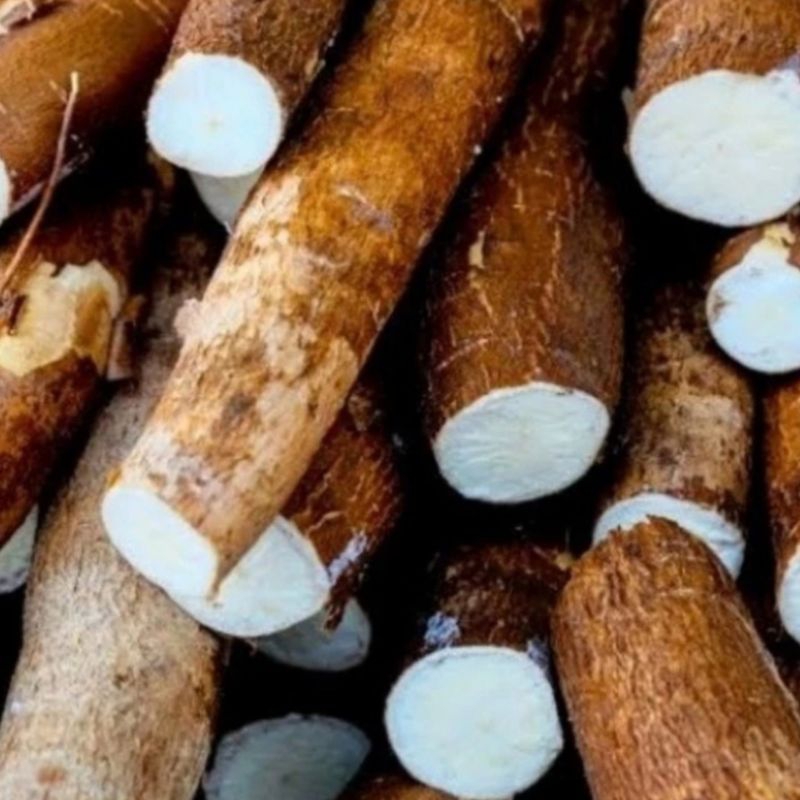 

Singkong mentah per 1kg