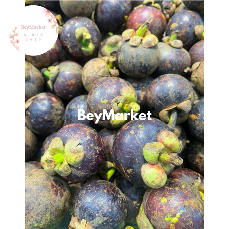 

Buah Manggis Super Fresh | kg
