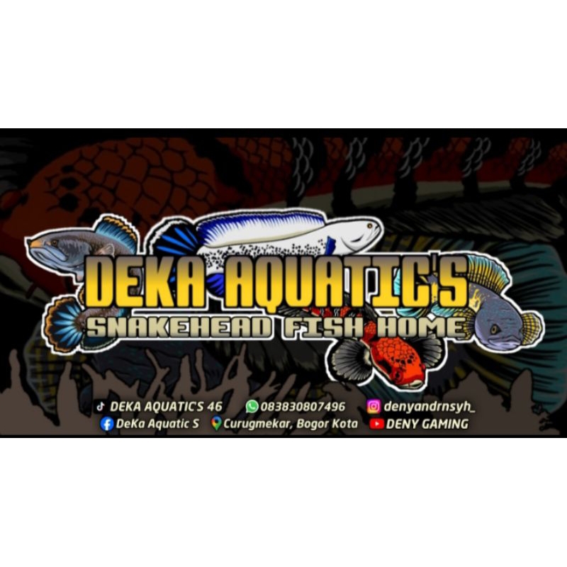 Red Barito Single Tank Simet Size 10cm - 15cm