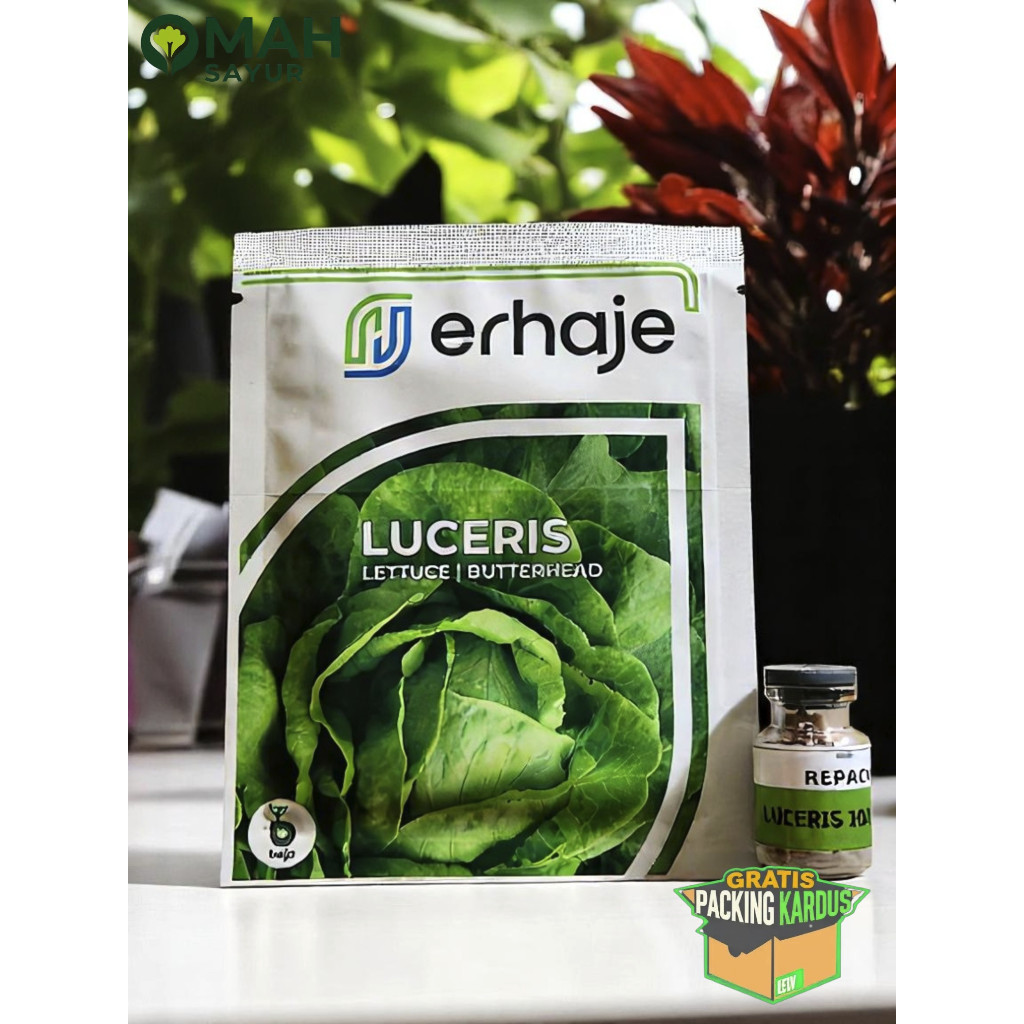 [REPACK-100 Pills] Bibit Benih Selada Bejo LUCERIS Butterhead Lettuce By Bejo Seeds