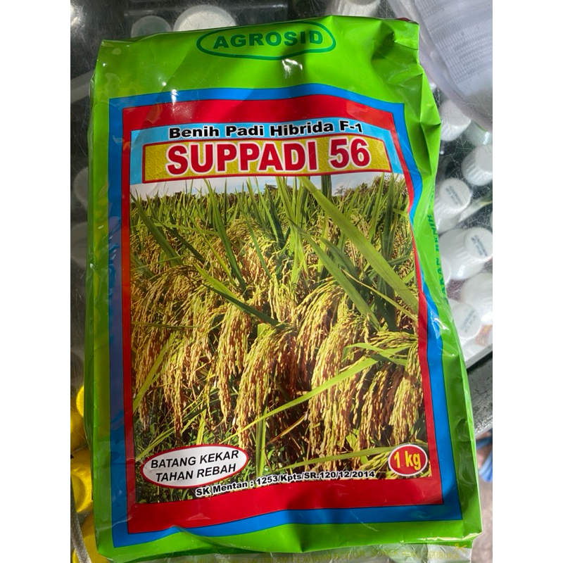 benih padi Hibrida Supadi 56 original