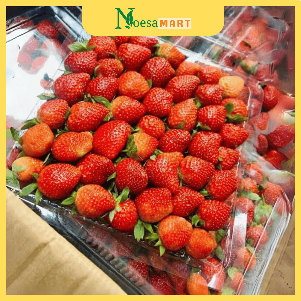 

Strawberry Fresh Lokal Batu Manis 1kg, 3kg, dan 5kg