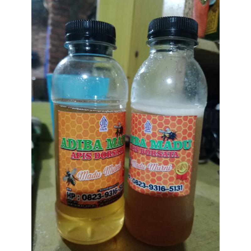 

MADU HUTAN SUMATERA-TRIGONA-Adiba Madu