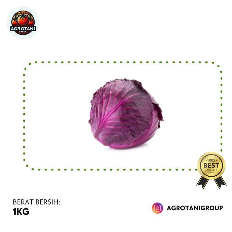 

Kol Ungu/Kubis Ungu - 1 KG