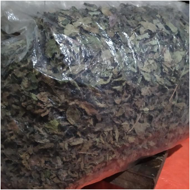 

daun cincau hitam kering super 1kg - Khusus Daun