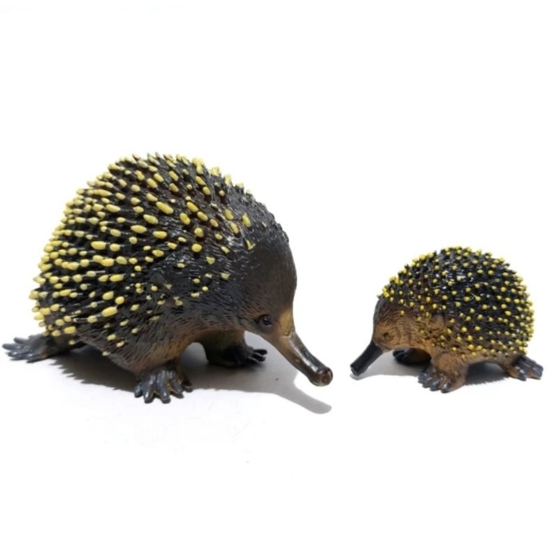 new science & nature Australia ECHIDNA set native animal figure