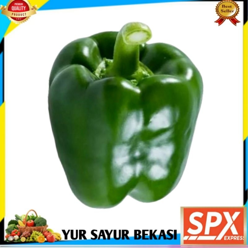 

Paprika Hijau Segarr Perbiji