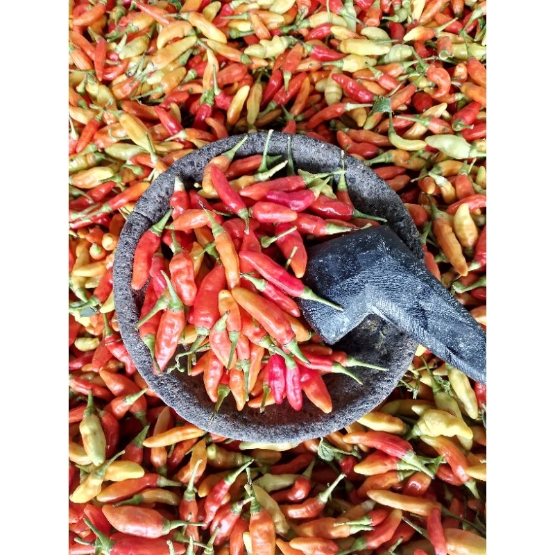 

CABE RAWIT MERAH SUPER PEDAS 250gram