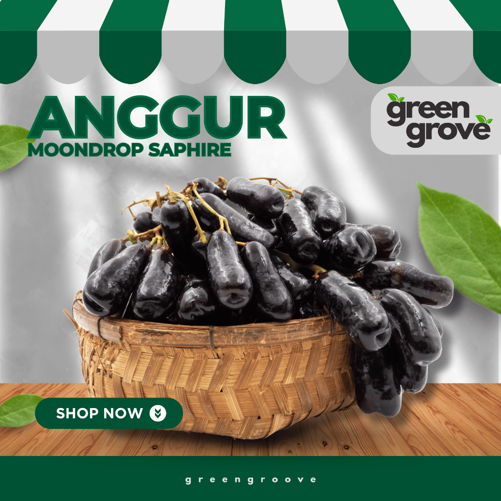 Anggur Moondrop 1 Kg | Anggur Moondrop Sweet Shapire Australia