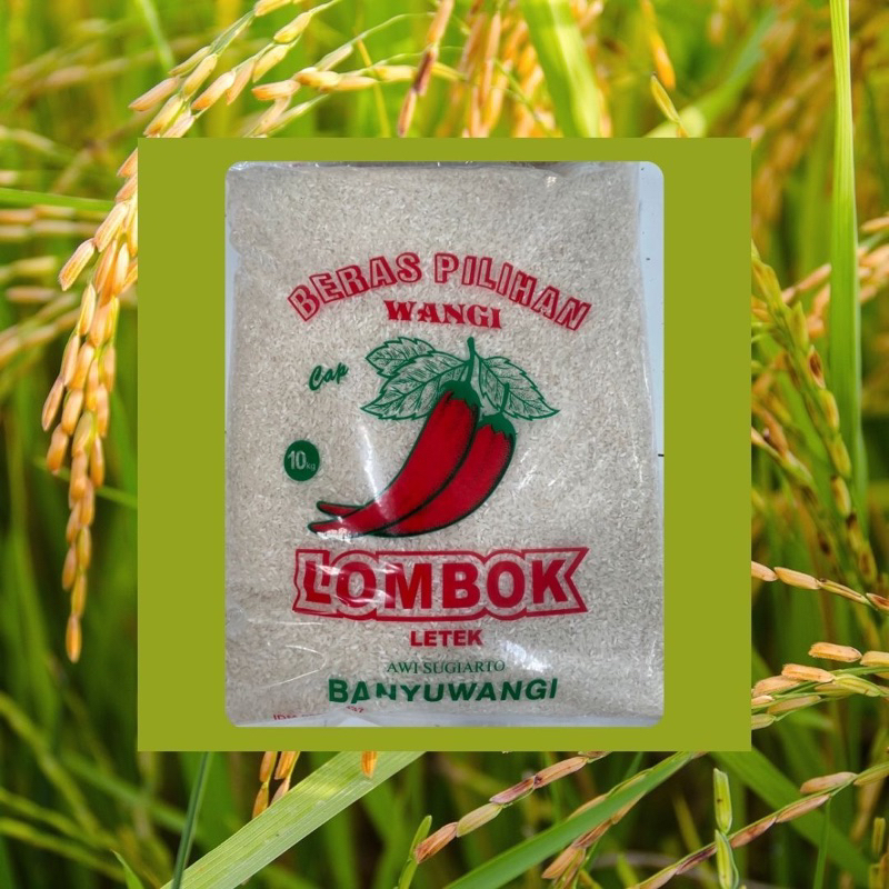 

Beras Lombok Letek 10 kg Wangi