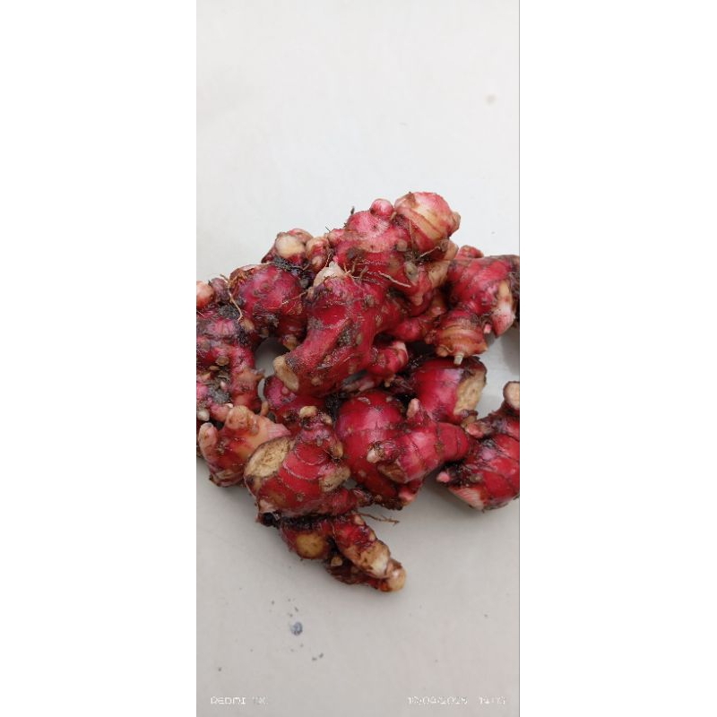 

jahe merah super segar 900g