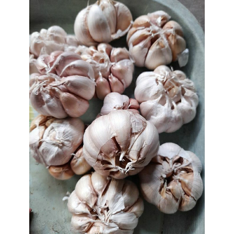

BAWANG PUTIH 200 gram