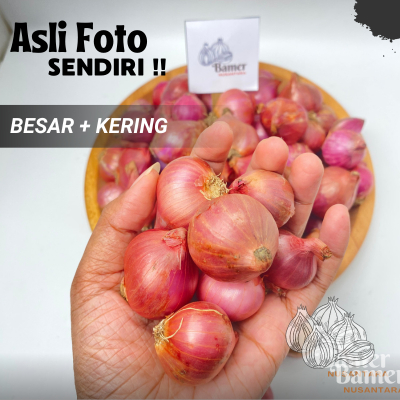 

Bawang Merah Bamer Kering 1 KG Termurah Super Lokal Nganjuk Besar Jumbo Untuk Bawang Goreng Murah 500 250 Gram 1/2 1/4 Kg Gratis Ongkir