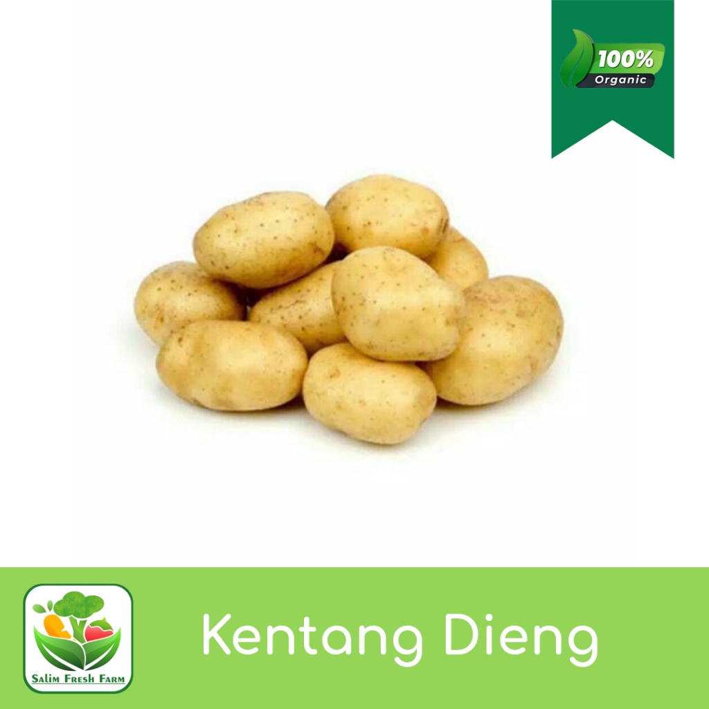 

Kentang Dieng / Kentang Dieng Super 1kg / Kentang Dieng Murah