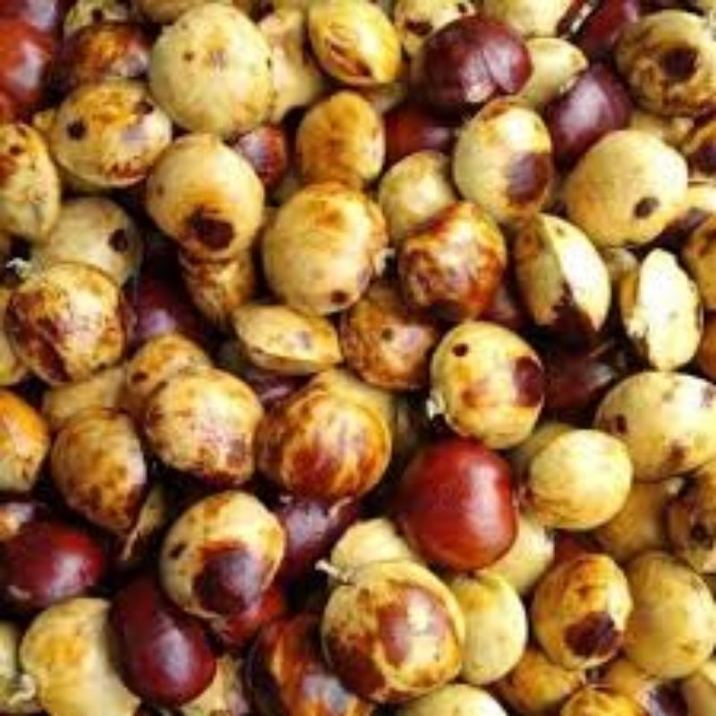 

jengkol tua / jengkol pilihan / jengkol ½ kg