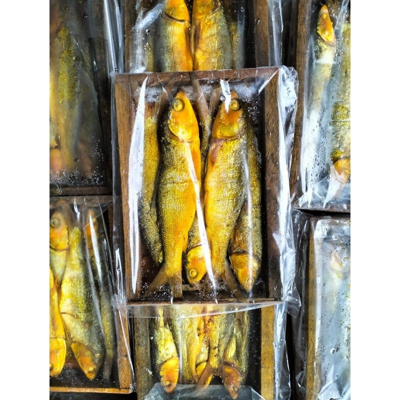 

Bandeng presto isi 5 ( Khusus untuk pengiriman dalam wilayah kota jambi)