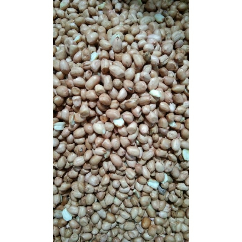 

Kacang Tanah mentah kemasan 1kg