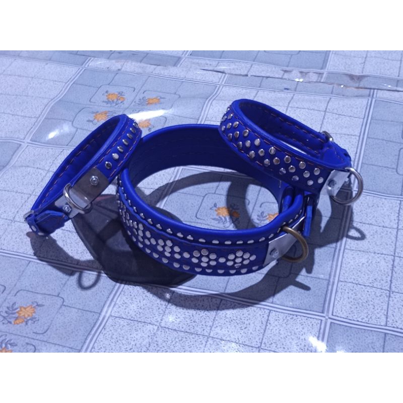 kalung anjing kulit warna biru,kalung anjing kampung,selayang dan ras