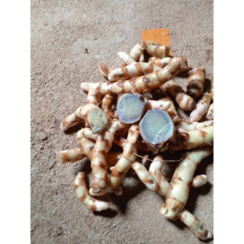 

Temu Ireng/kunir hitam herbal 1kg....