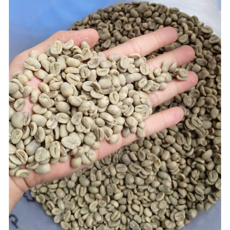 

arabica mandailing pagur