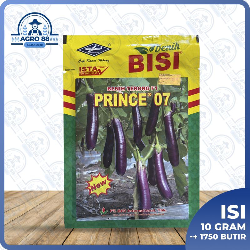 

TERONG PRINCE 07