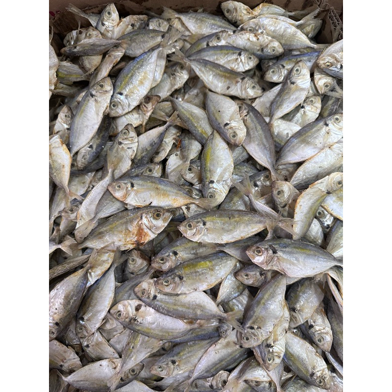 

Selar Belitung Sedang 250gram 500gram