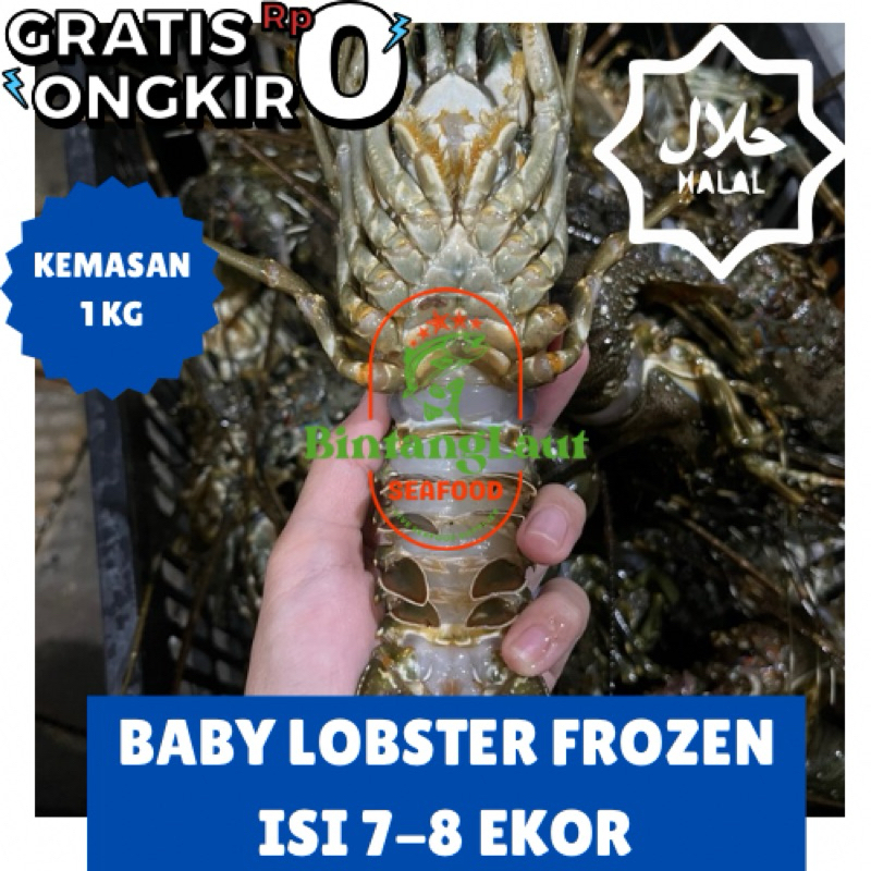 

FRESH BABY LOBSTER / FRESH FROZEN BABY LOBSTER 1KG