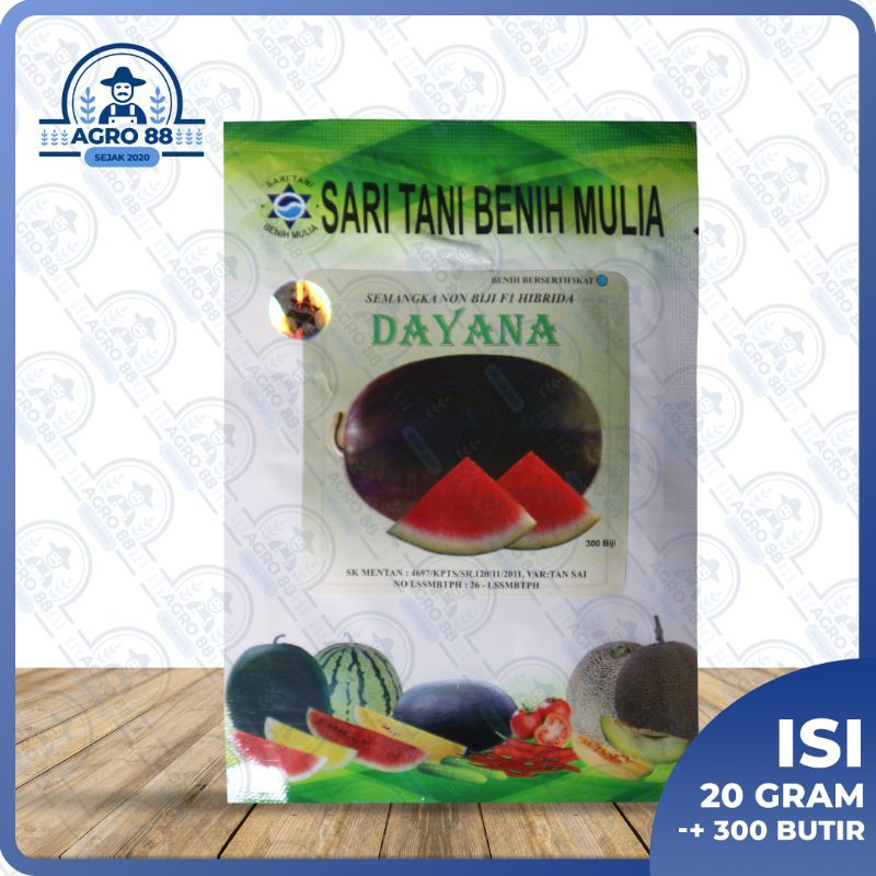 

Dayana semangka hibrida