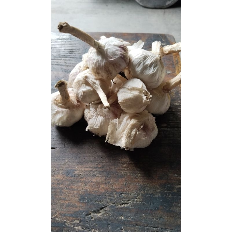 

BAWANG PUTIH HONAN / BANCI KOTOR 1KG