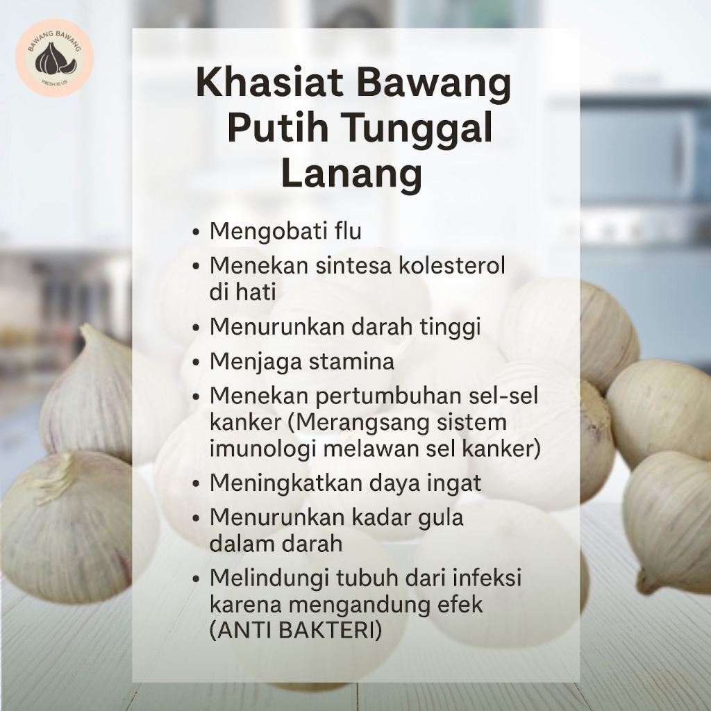 

RB 2 KG PAKET Bawang Putih Tunggal Lanang SEDANG Ukuran 1.5 Cm