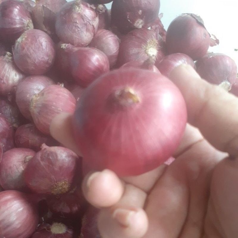 

Bawang Merah India / Bawang Peking 1kg