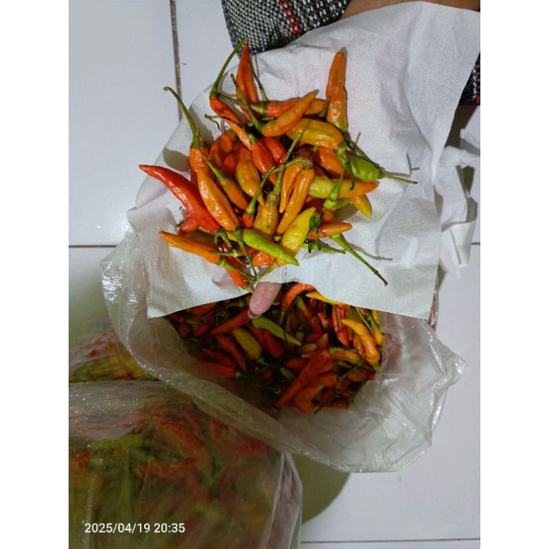 

Lombok Kecil Cabe Rawit