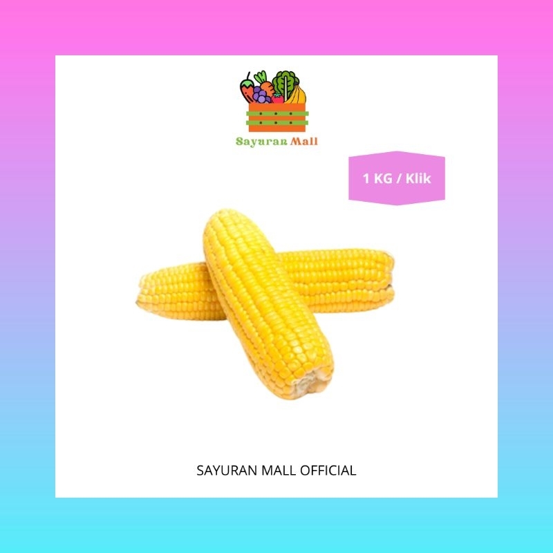 

1 KG Jagung Manis Kupas | Buah Segar | SAYURANMALL