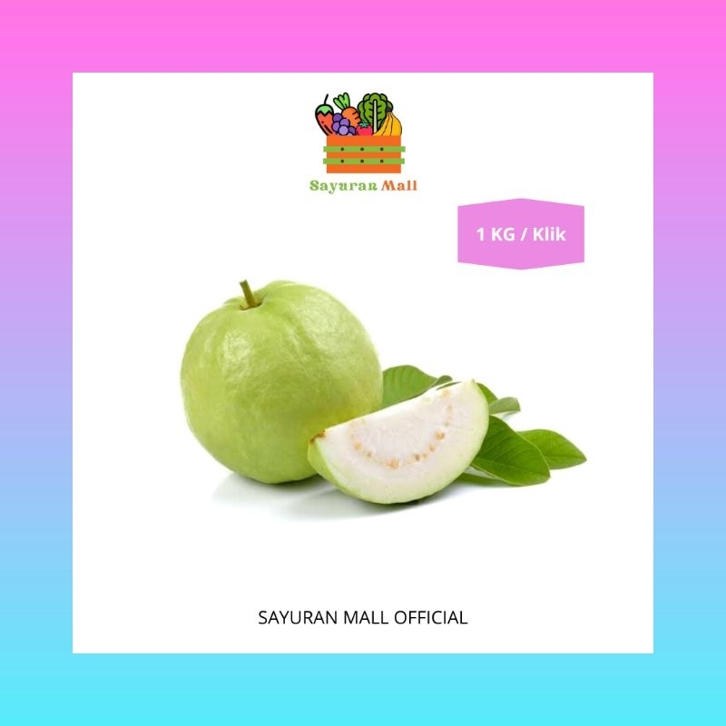 

1 KG Buah Jambu Biji Putih | Buah Segar | SAYURANMALL