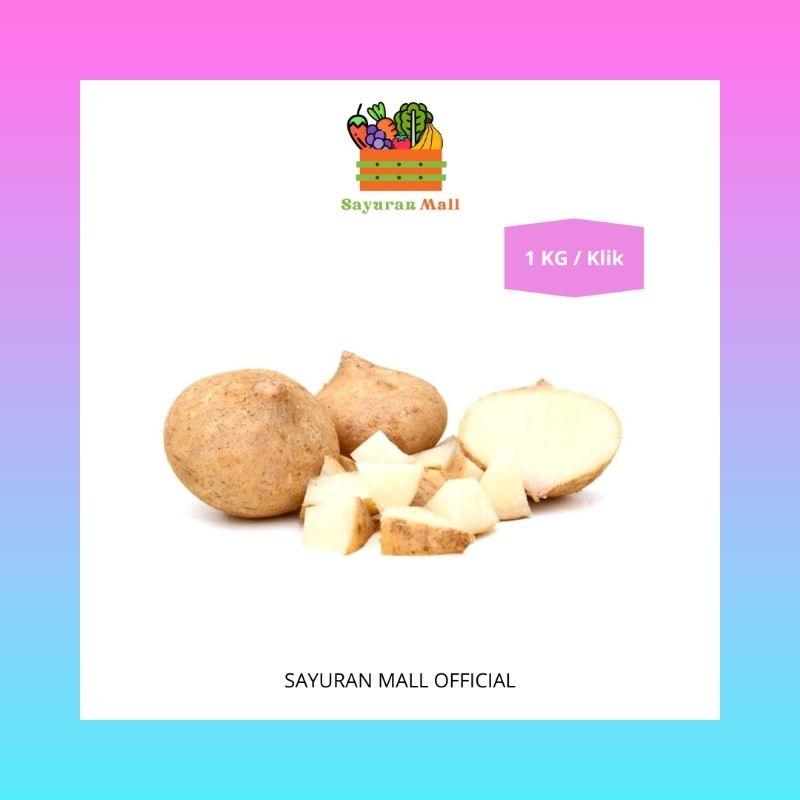 

1 KG Buah Bengkoang Putih | Buah Segar | SAYURANMALL