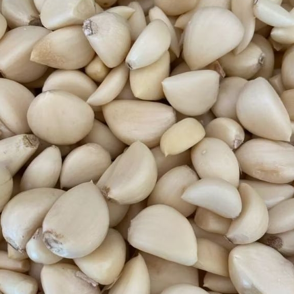 

Bawang Putih Kupas 500 gr