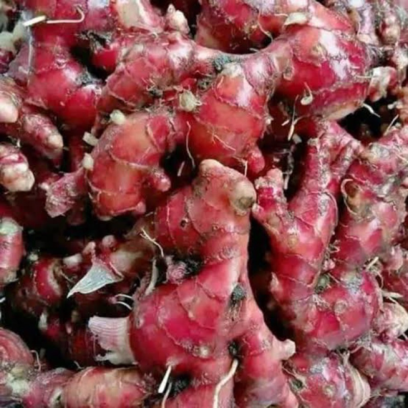 

JAHE MERAH 250 GRAM