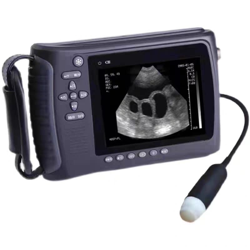 Alat USG/tes kehamilan domba,kambing,anjing,babi,kucing