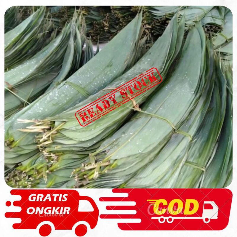 

Promo 1kg Daun bambu Bakcang/Daun bambu fresh untuk bacang/Daun awi segar