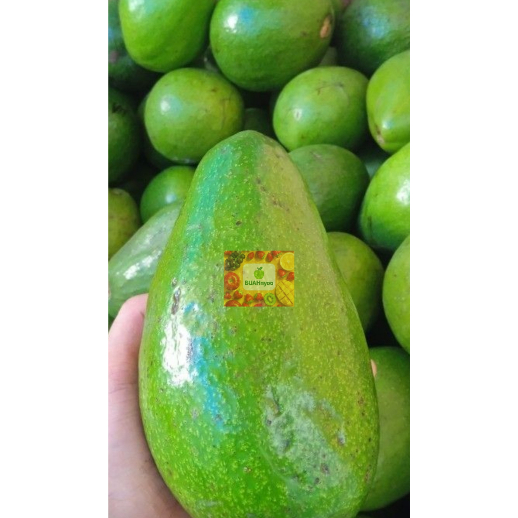

ALPUKAT MENTEGA 1kg/buah Alpokat/freshh/khasPadang