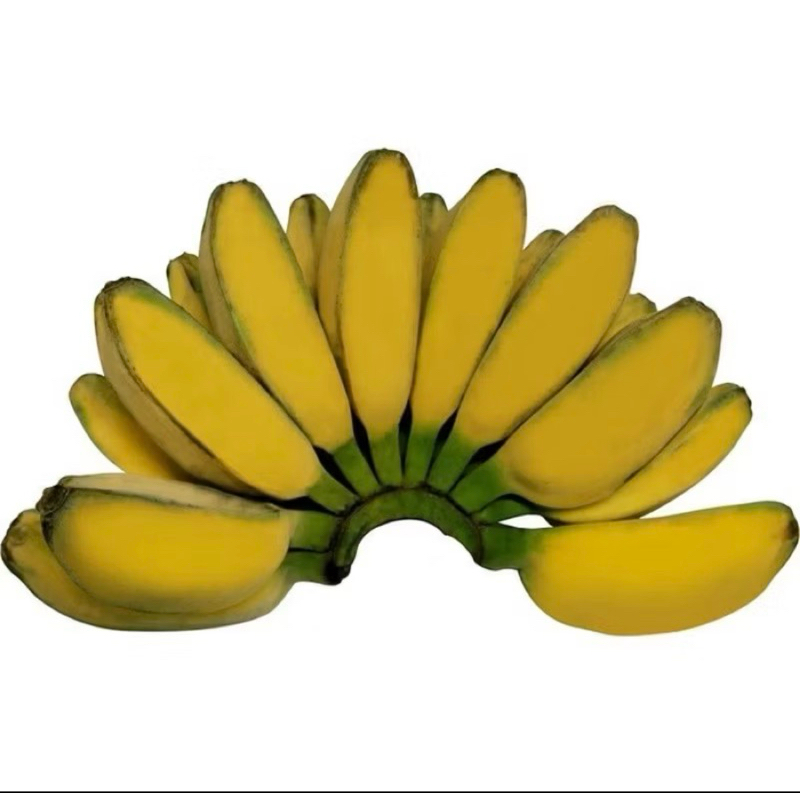 

pisang kepok 1 sisir